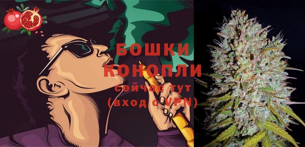 мдпв Волоколамск