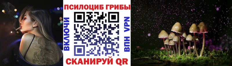 Галлюциногенные грибы Cubensis  Нурлат 