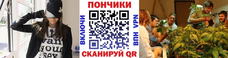 Шишки марихуана марихуана  Нурлат 
